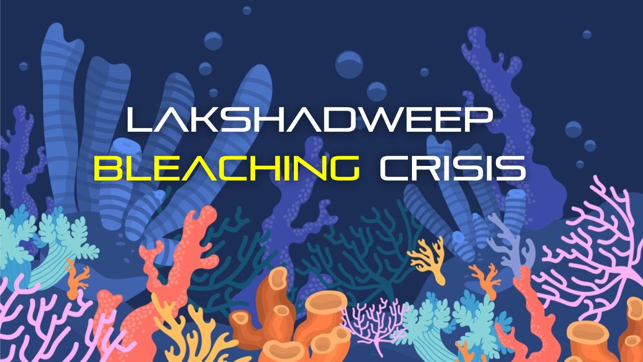 Lakshadweep Bleaching Crisis