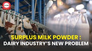 Surplus Milk Powder: Dairy Industry's New Problem