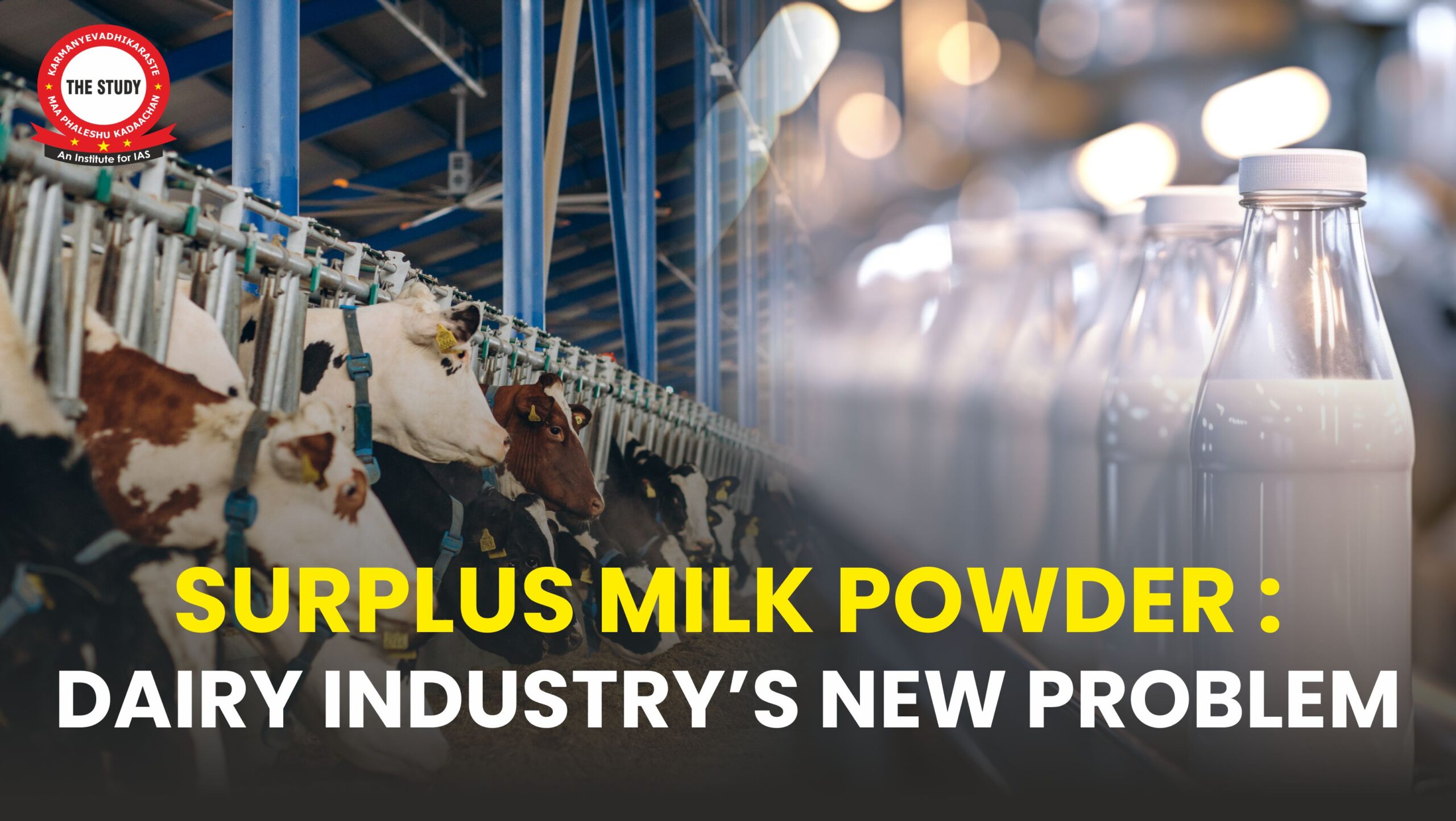 Surplus Milk Powder: Dairy Industry’s New Problem