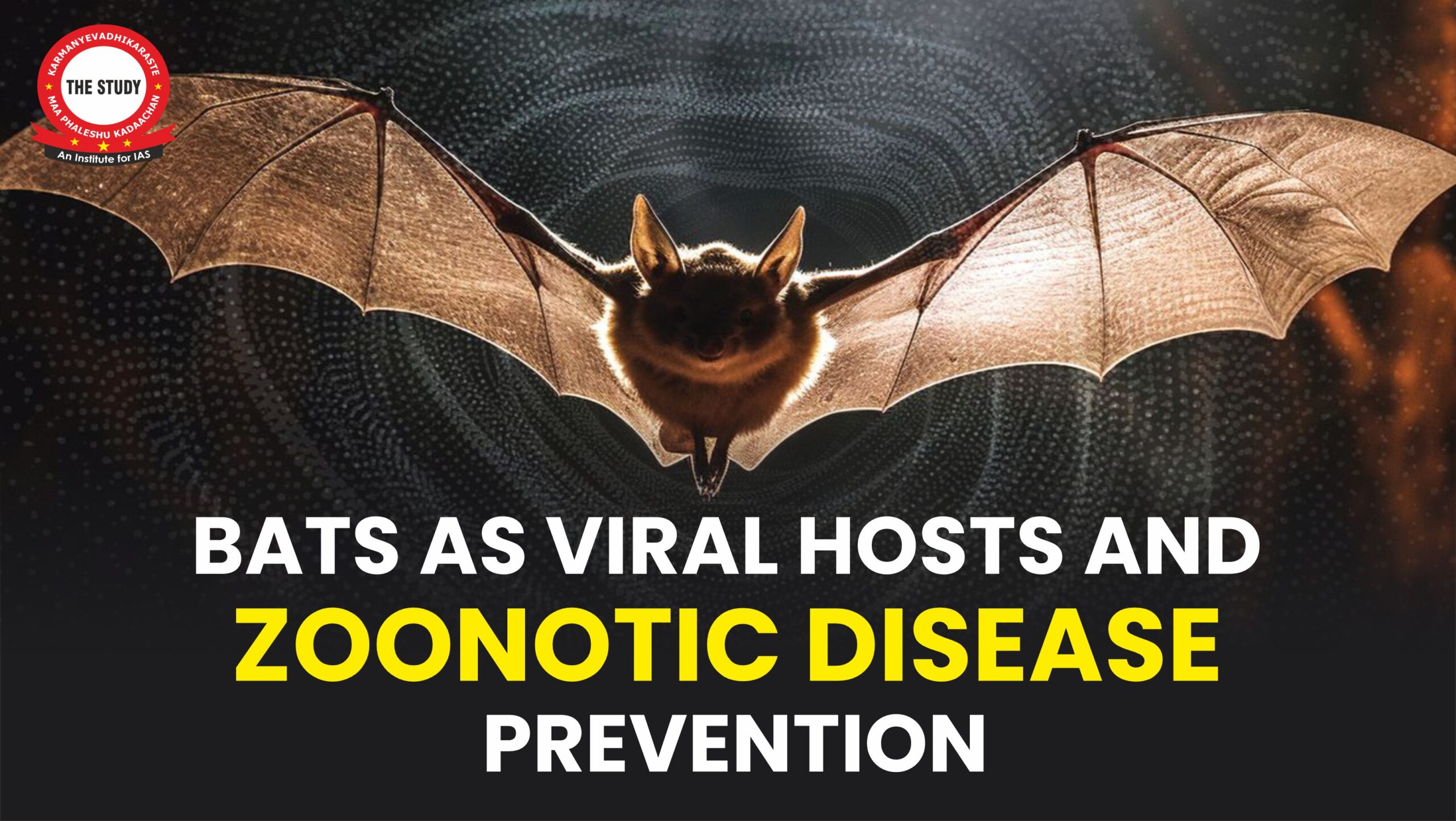 Bats as Viral Hosts and Zoonotic Disease Prevention