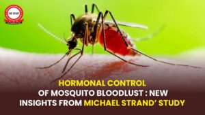 Hormonal Control of Mosquito Bloodlust: New Insights from Michael Strand's Study