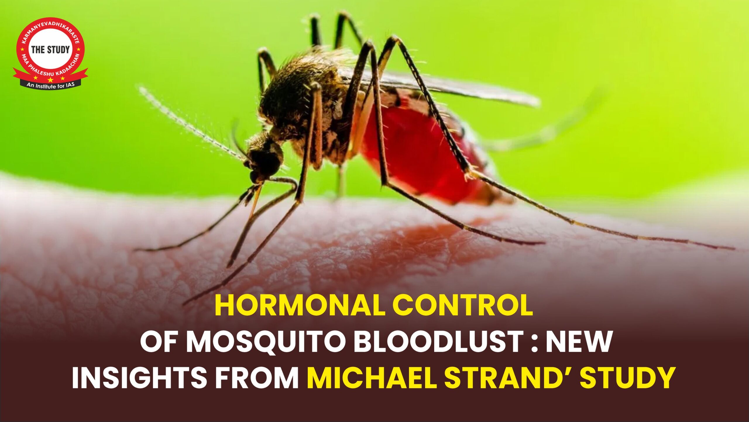 Hormonal Control of Mosquito Bloodlust: New Insights from Michael Strand’s Study