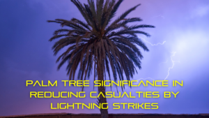 Palm Tree Significance in Reducing Casualties by Lightning Strikes