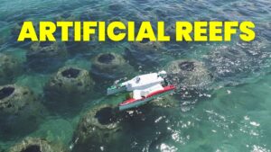 Artificial Reefs