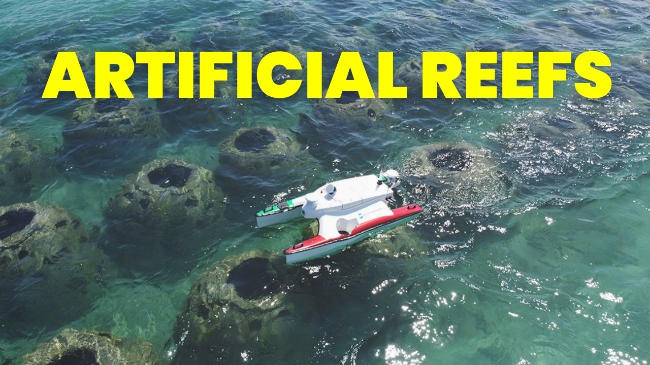 Artificial Reefs