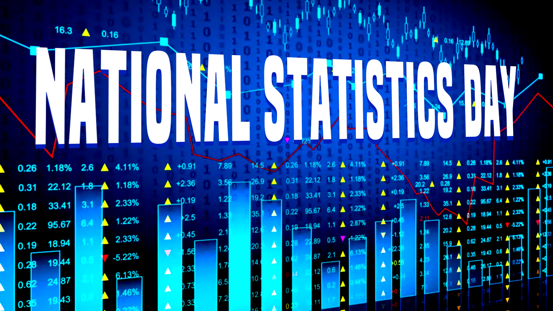 National Statistics Day 2024