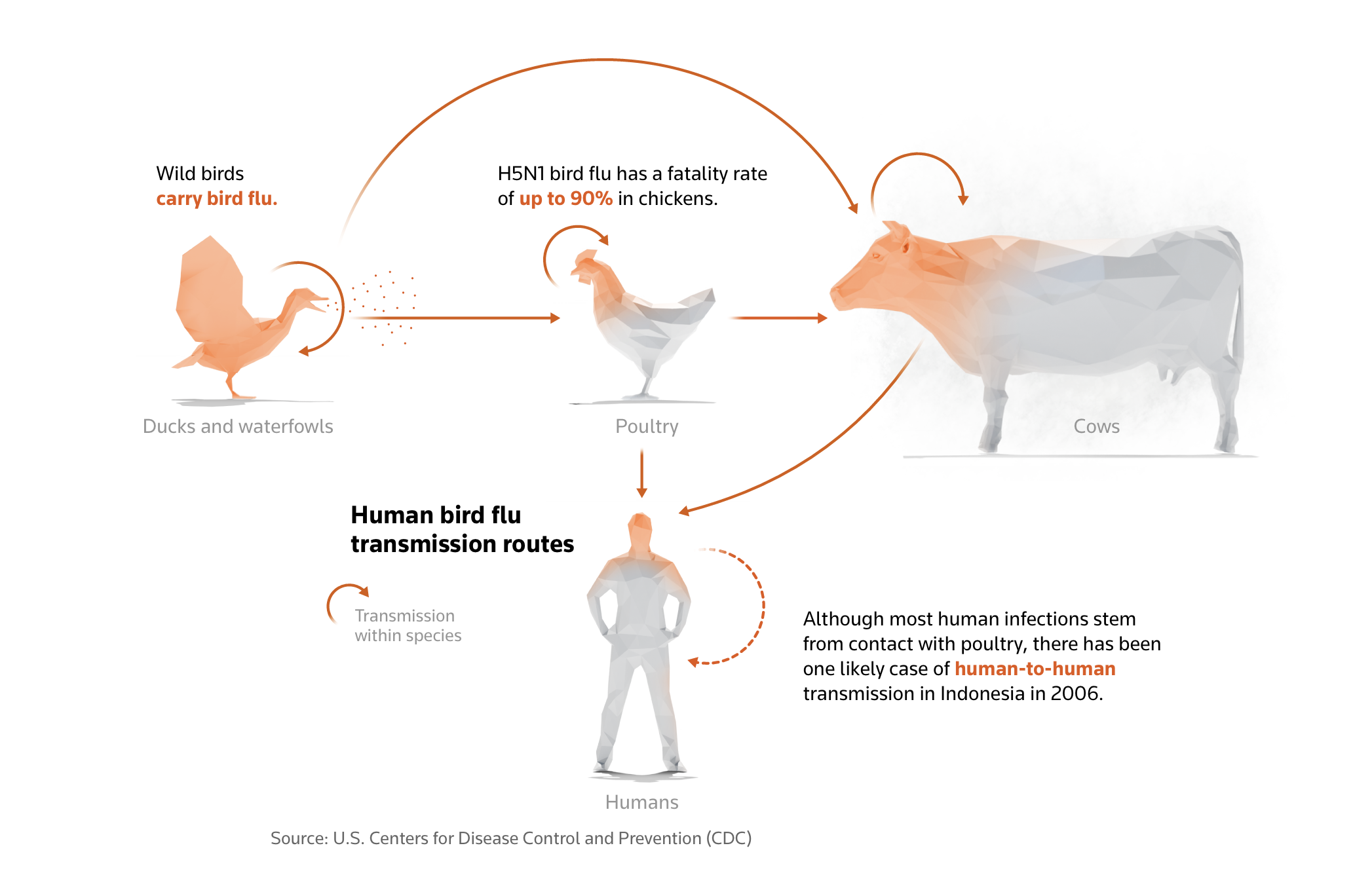 H5N1 in Cattle and Humans: What Does It Mean for Our Future?