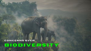 Concerns Over Biodiversity Offsets and Credits