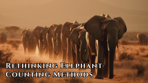 Rethinking Elephant Counting Methods: A Call for Policy Change