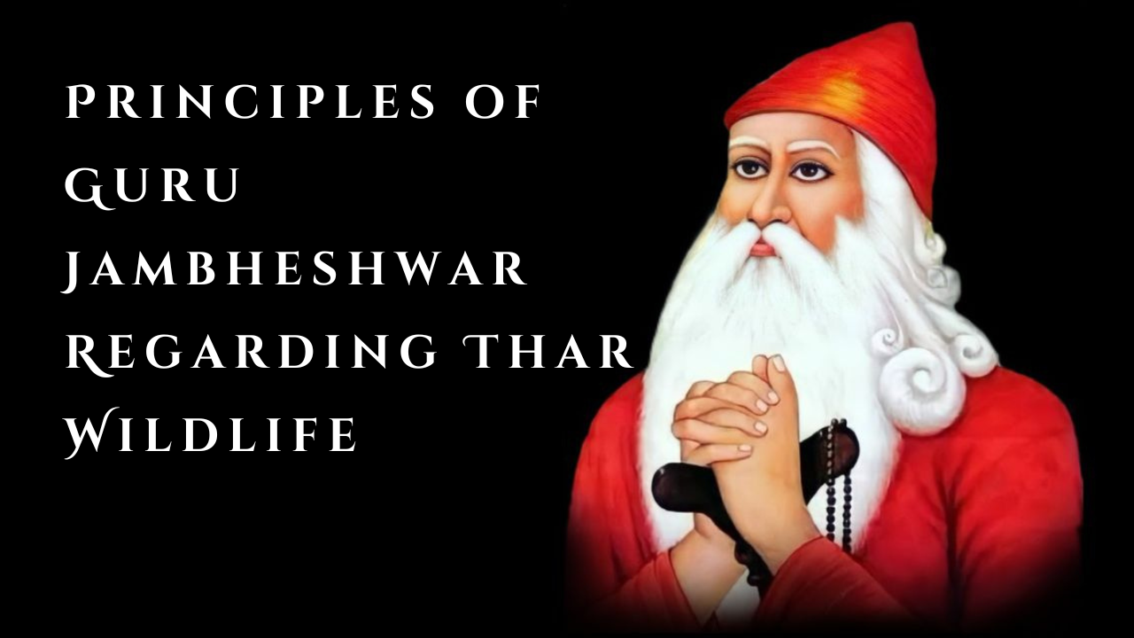 Principles of Guru Jambheshwar Regarding Thar Wildlife