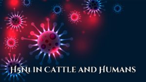 H5N1 in Cattle and Humans: What Does It Mean for Our Future?