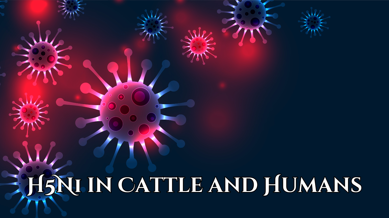 H5N1 in Cattle and Humans: What Does It Mean for Our Future?