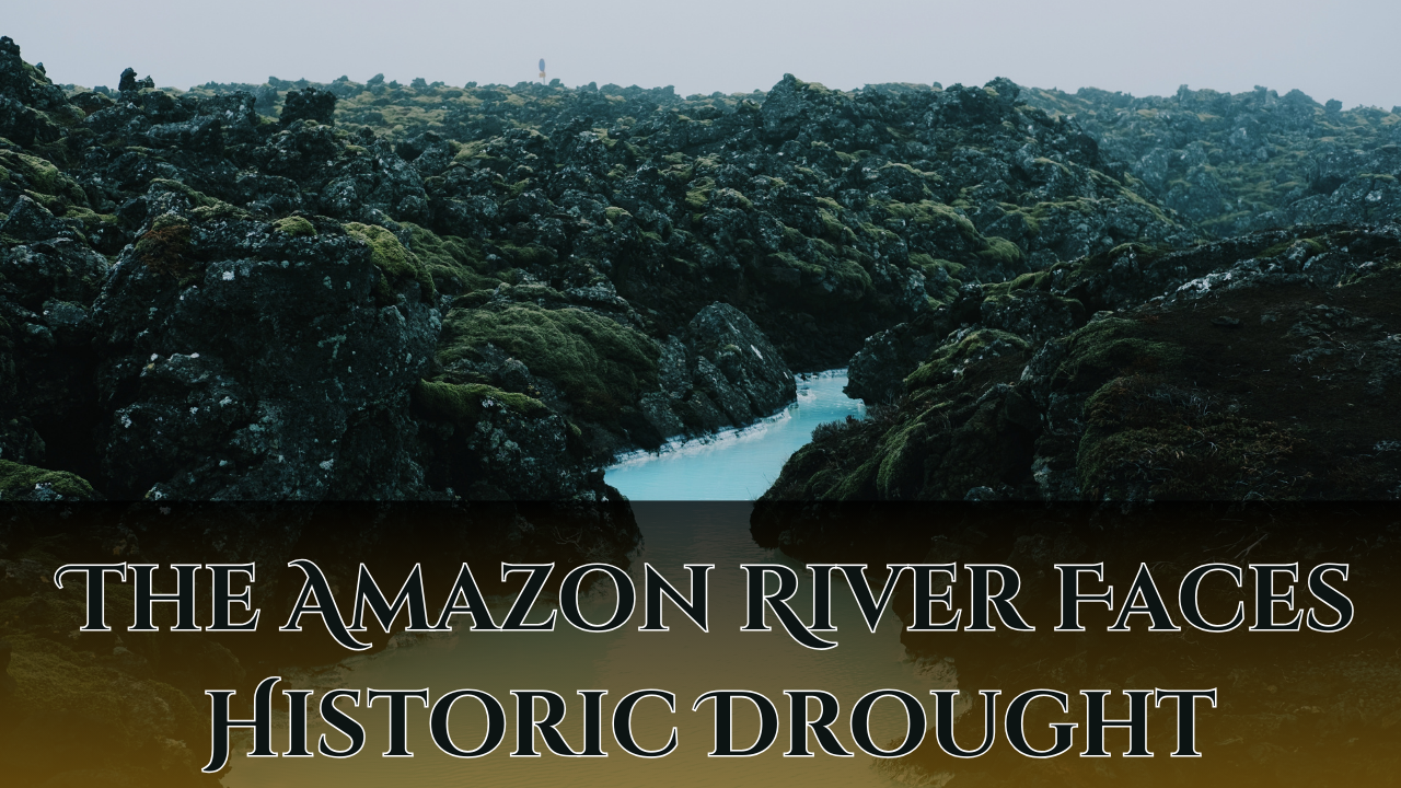 The Amazon River Faces Historic Drought