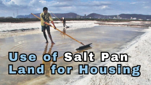 Use of Salt Pan Land for Housing: Controversy and Ecological Concerns