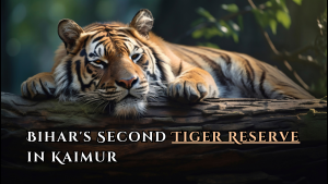 Bihar's Second Tiger Reserve in Kaimur