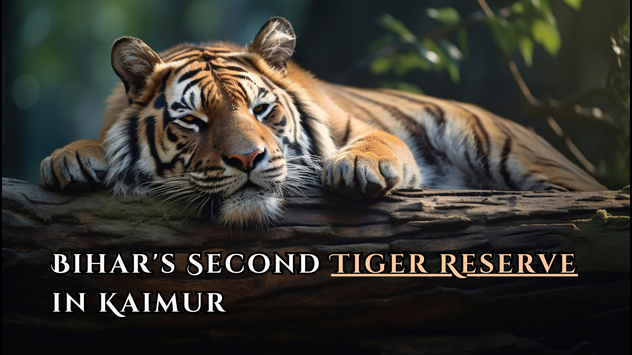 Bihar’s Second Tiger Reserve in Kaimur