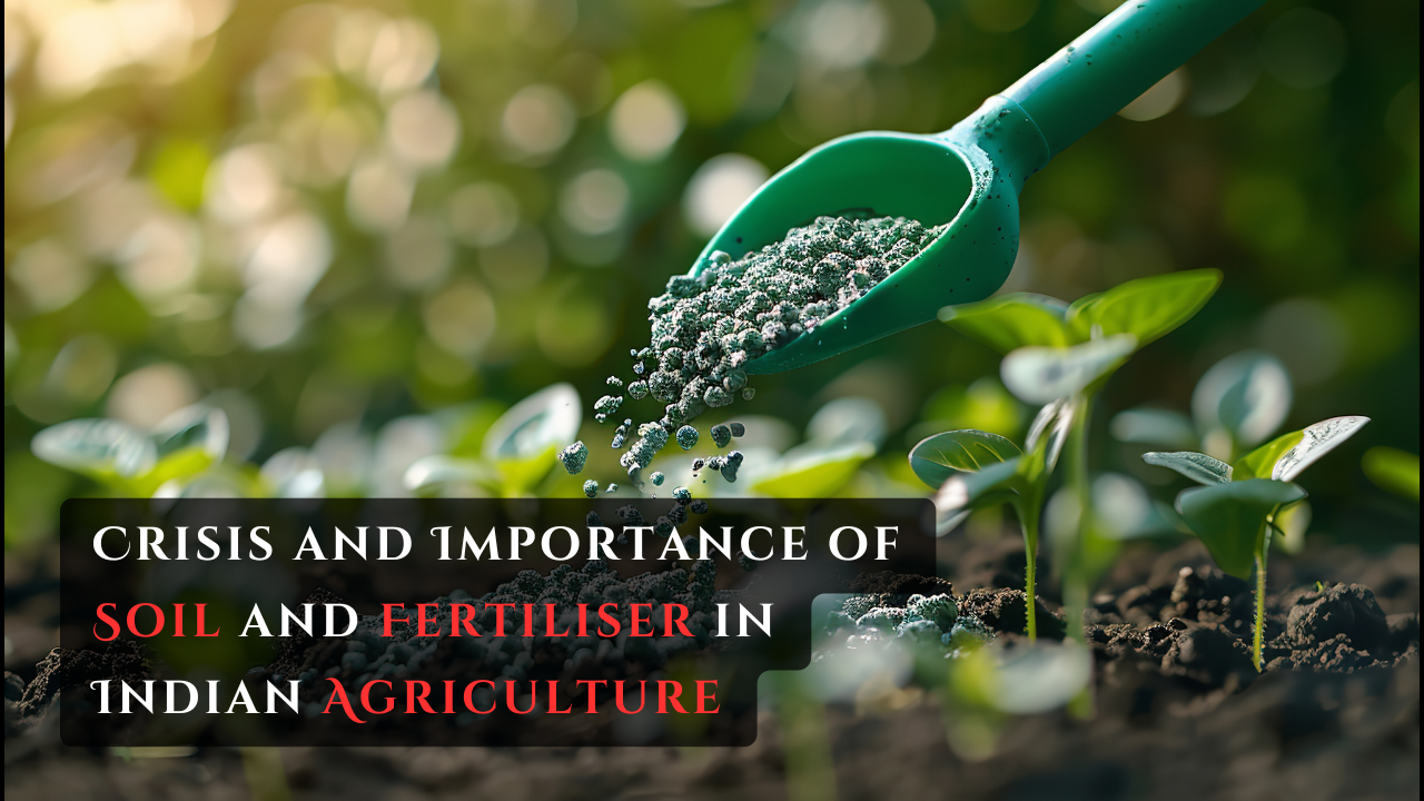 Crisis and Importance of Soil and Fertiliser in Indian Agriculture