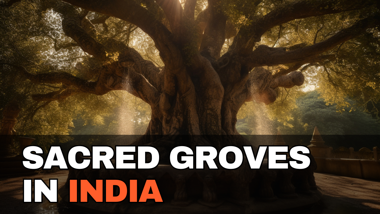 Sacred Groves in India: Protecting Nature, Culture, and Community Rights