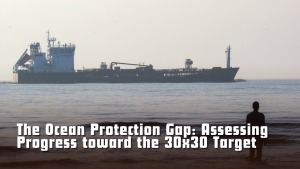 The Ocean Protection Gap: Assessing Progress toward the 30x30 Target
