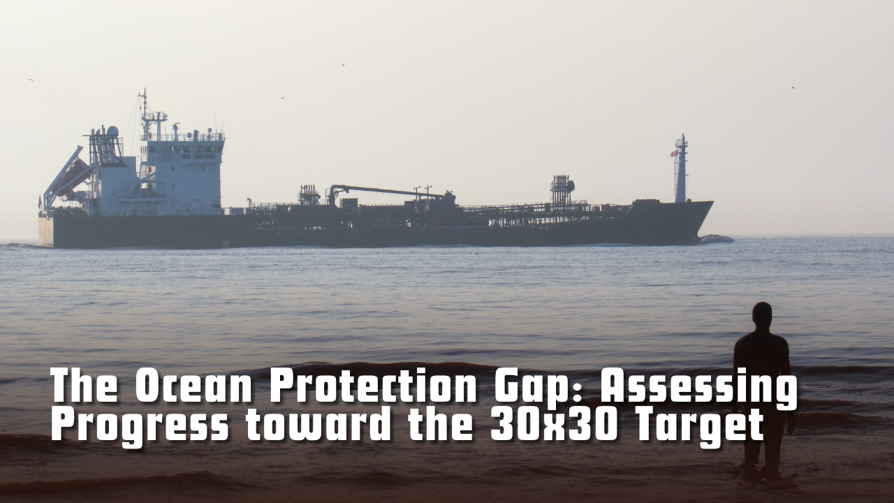 The Ocean Protection Gap: Assessing Progress toward the 30×30 Target