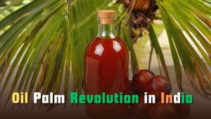 Oil Palm Revolution in India
