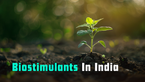 Biostimulants in India