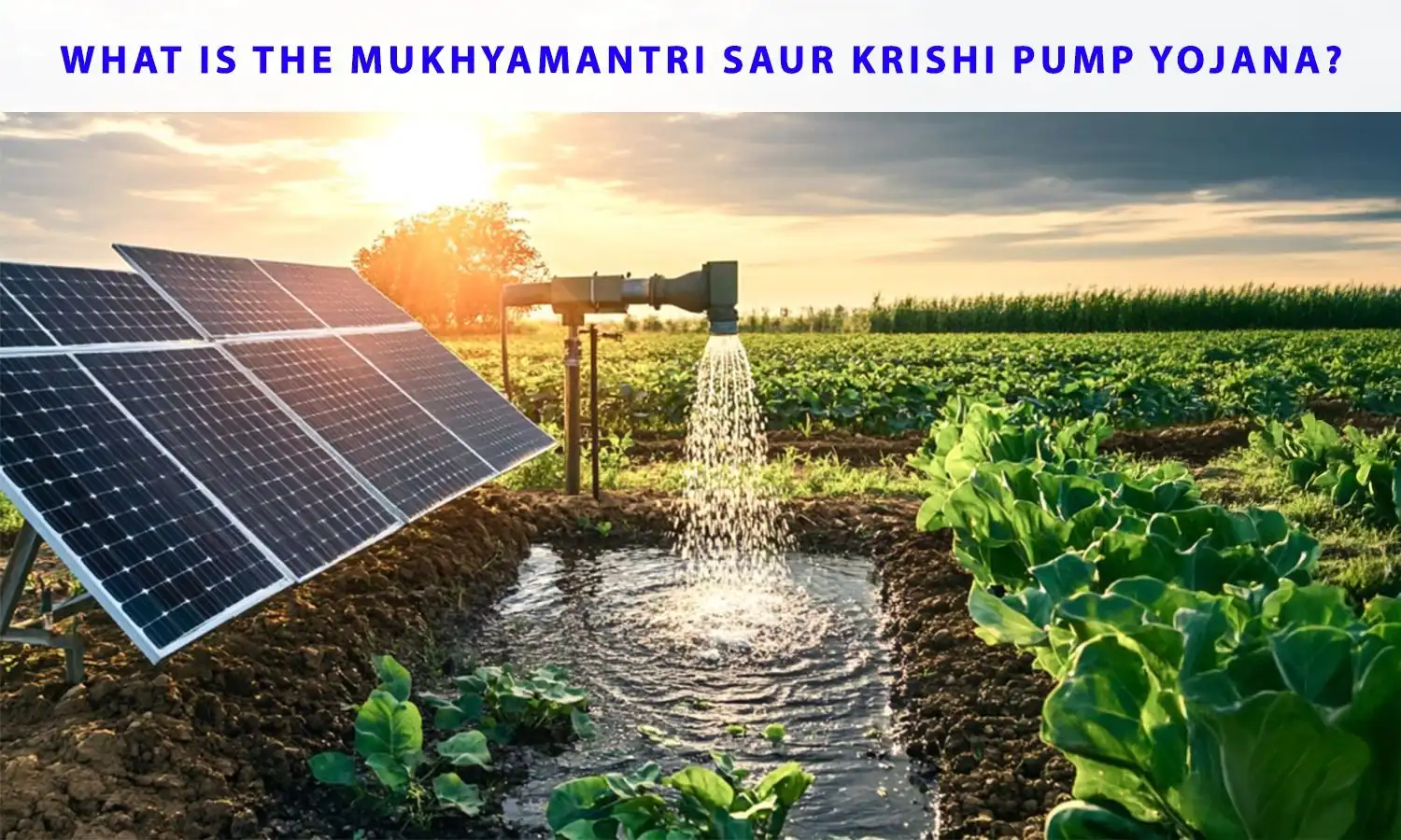 Maharashtra’s Solar Pump Record: Decarbonising Agriculture and Easing the Subsidy Burden