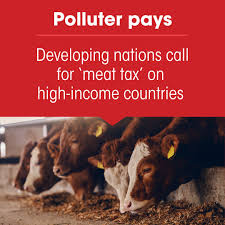 Meat Tax Explained: COP30 Demand, Need, Impact & Global Examples