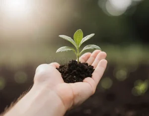 Planetary Limits and Urban Resilience: The Role of Healthy Soil