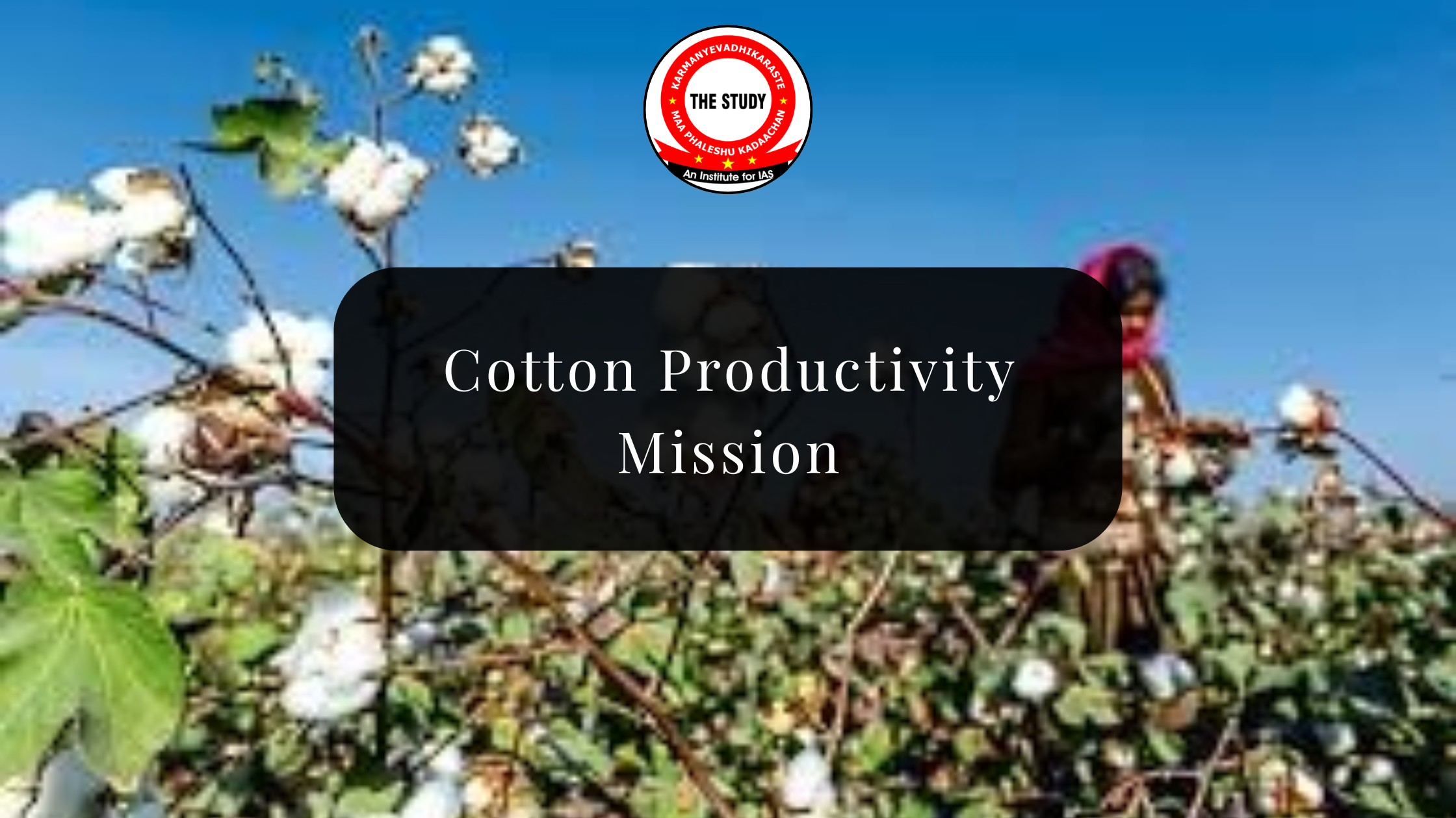 Cotton Productivity Mission